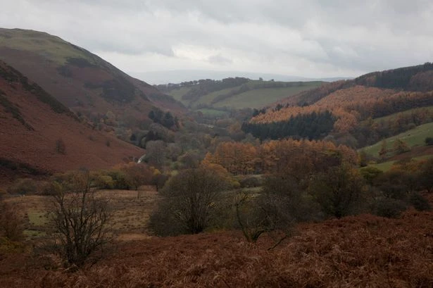 UK tattoo artist who wants to set up 'whites-only' town in Wales is to hold 'family camp'