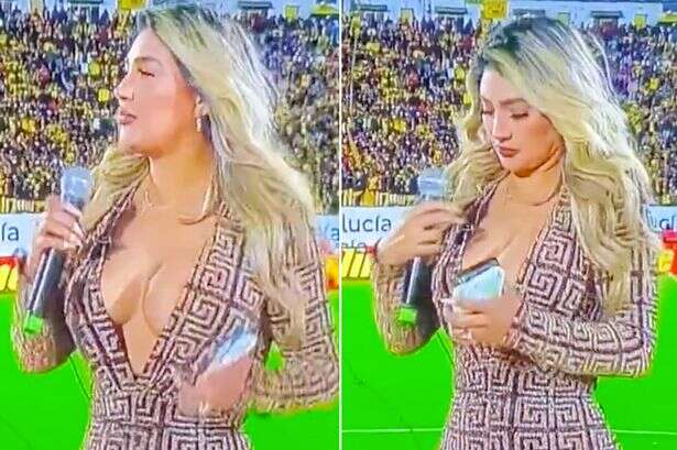 Glam football reporter checks she's not had a wardrobe malfunction in plunging dress