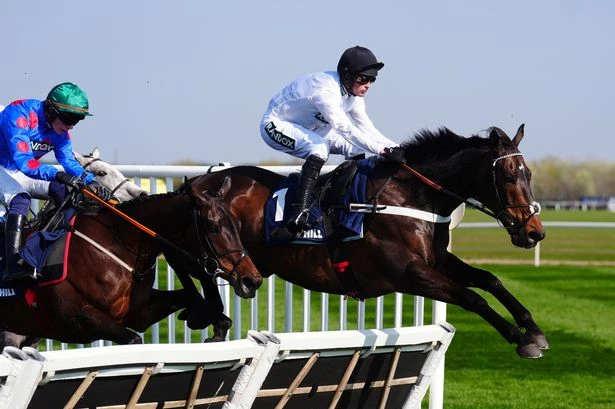 Top horse gets green light to run next week despite horror Cheltenham and Aintree falls