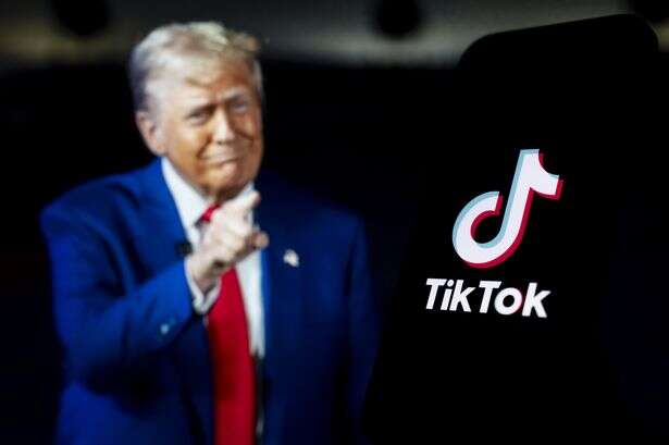 TikTok 'auto fills' search bars with US flag as it pushes pro-Trump content