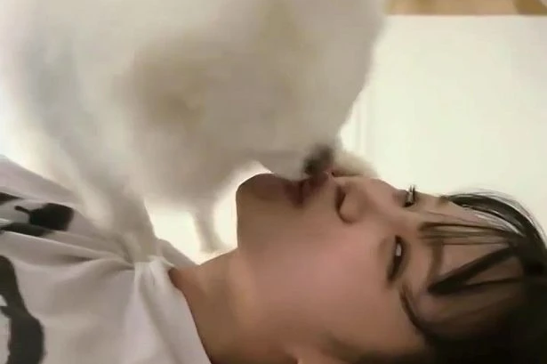 Pop star performs 'sick' act on pet dog as fans say 'she loves it a little too much'