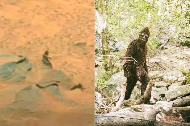 'Alien Bigfoot on Mars' sparks bizarre online debate as people say two things