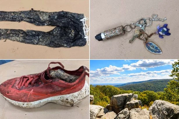 Mystery as woman's dismembered body found in national park - but hand and foot missing