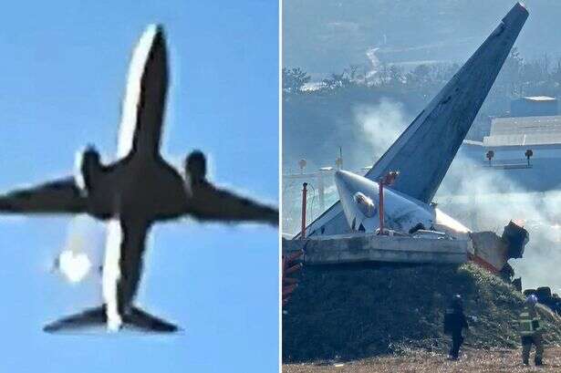 Horror moment 'bird strike' caught on camera sparking catastrophic fireball that killed all but 2