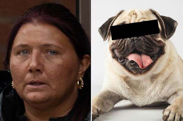 Reason 'proud mummy' who had sex with pug didn't get jailed when her partner did