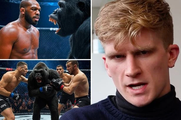 Five UFC fighters could beat a gorilla in a brawl as scientist reveals how