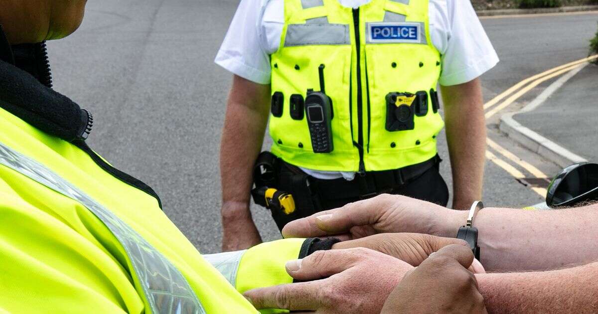 AA says 1,000 more ‘cops in cars’ needed to stop crime half of drivers 'get away with'