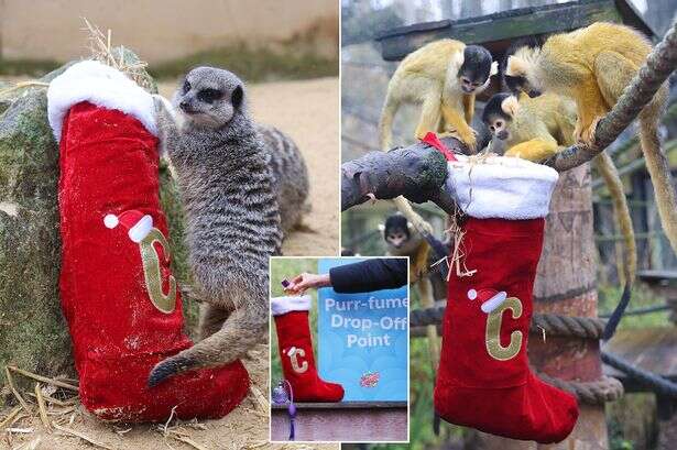 Chessington zoo wants your unwanted Christmas perfume for its animals – here's why