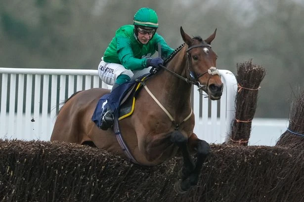 'I fancy 16-1 outsider to upset Jonbon' – Jason Heavey's Cheltenham tips