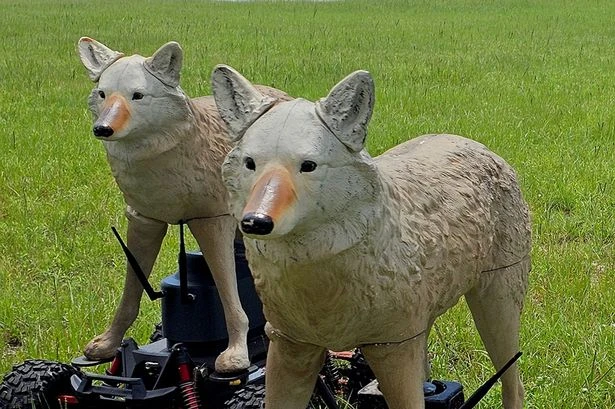 Trump has a new weapon to protect his US Army air bases - a pack of cyborg coyotes
