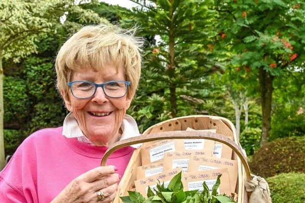 Couple prove that money really does grow on trees as rare seeds make thousands