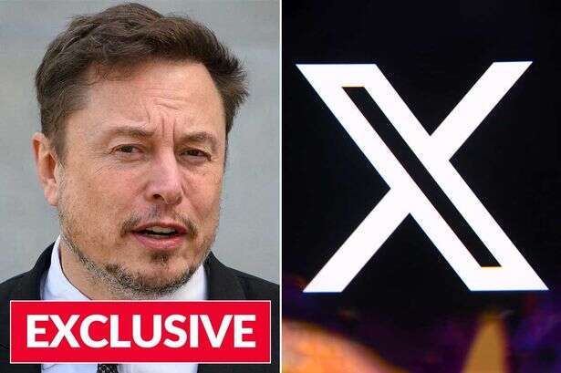 X owner Elon Musk's posts appear 'whether you follow him or not,' claim experts