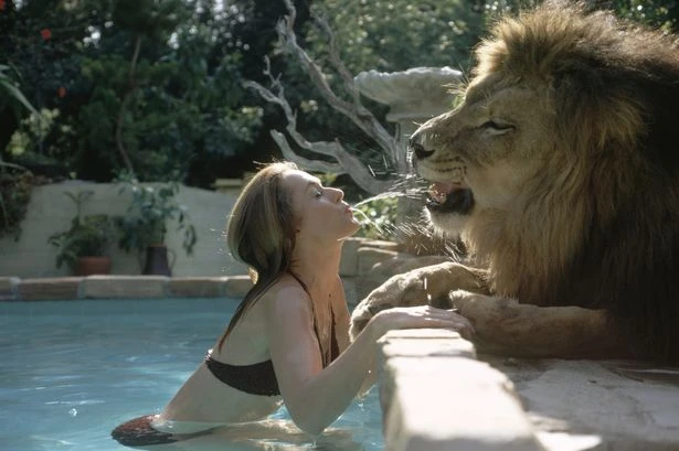 Five major stars who kept big cats as pets – only one of them was brutally savaged