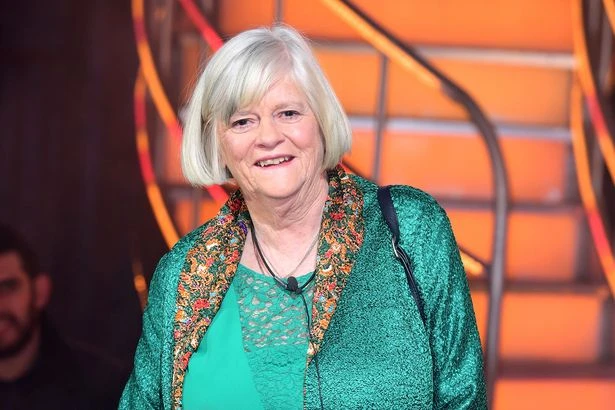 Ann Widdecombe statement issued to MPs as Nigel Farage offered 'security meeting'