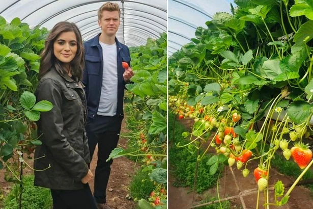 GMB weather girl Lucy Verasamy flaunts killer legs in jeans on set of new ITV job