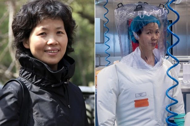 China's 'bat woman' scientist breaks silence over Wuhan Covid lab leak claims