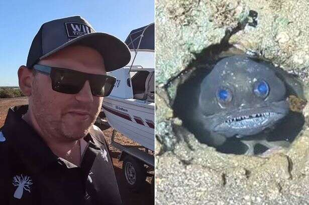 Bloke discovers 'psycho' fish at mud flats that will 'haunt him in his dreams'