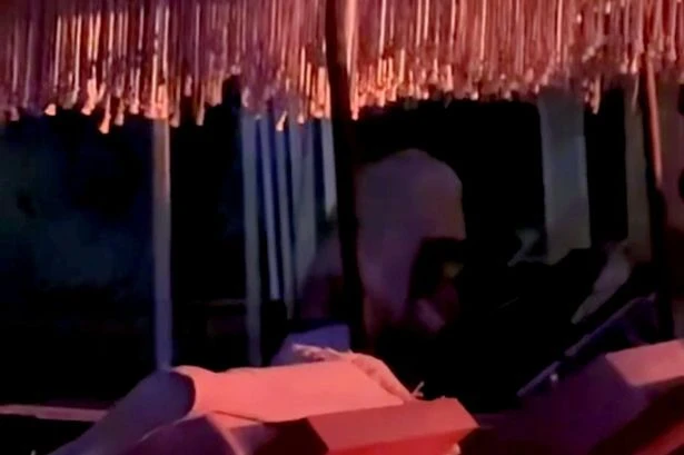 Brazen couple get frisky on deckchairs in Mykonos just metres from a busy beach club