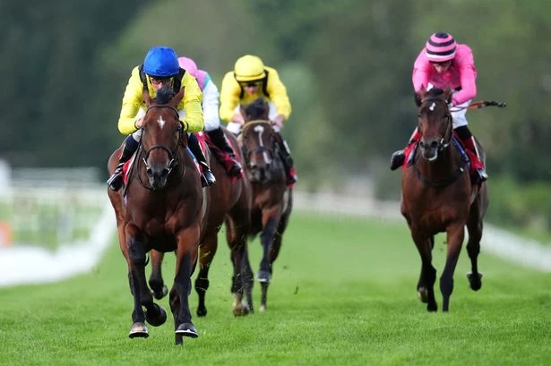 'She looks overpriced at 10-1' – Thursday's racing tips as Sandown hosts best evening card of 2025