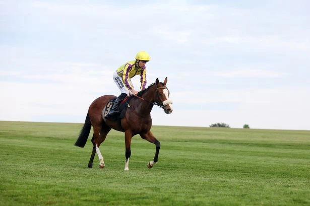 'He loves winning at Ayr' – Wednesday's racing tips from five UK meetings