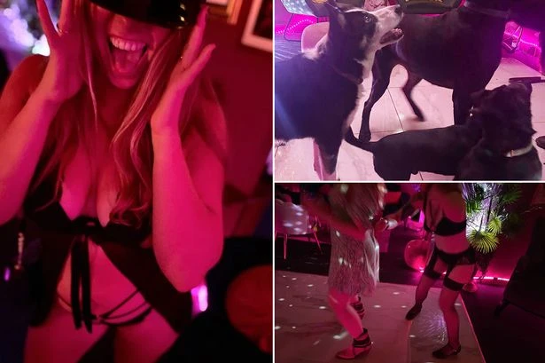 Saucy swingers to bring dogs to frisky UK 'tea party' as organisers warn members
