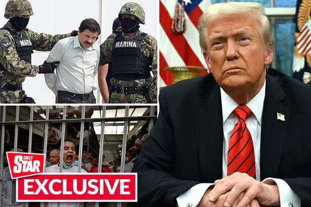 Donald Trump's new drug laws could 'create millions of terrorists' claim experts