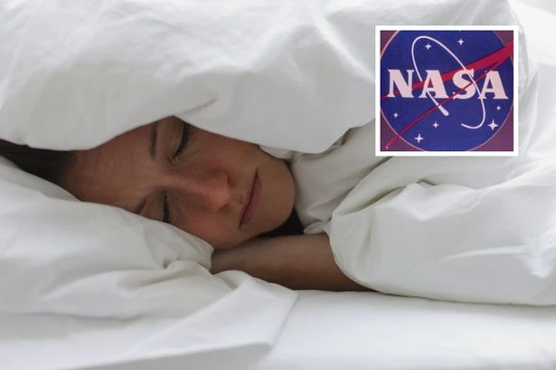 Space boffins plan to pay lazy bones to lie down on the job for two months