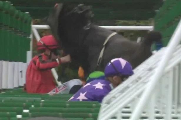 Horse racing jockeys banned after blindfolded mare smashed through barrier