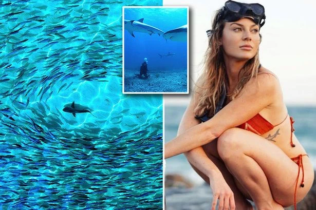World's hottest scientist to be Netflix star saying 'it was cutest shark attack ever'