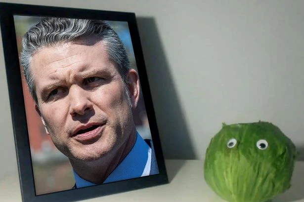Trump's defence sec Pete Hegseth sees further lettuce calls after 'replacement search'