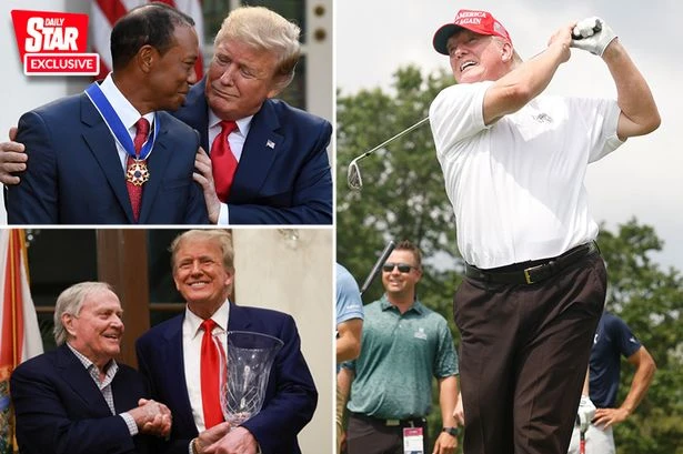 Trump 'best US president golfer' as AI analyses says he could make 'top 50 golfers'