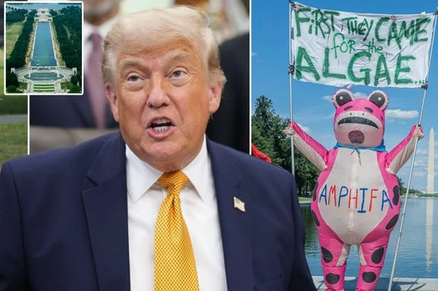 Inside Trump's White House pool row - pink frog rant, peeling paint and armed guards