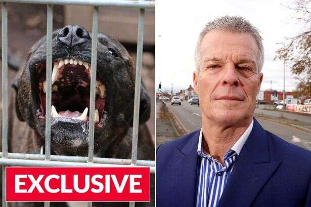 Inside 'doggy jails' where 100 dogs are 'destroyed' each month after XL bully ban