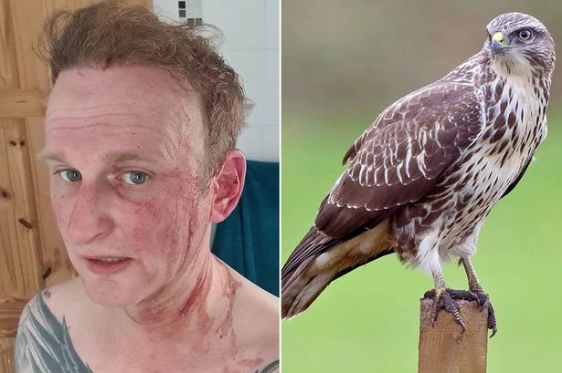 Psycho buzzard terrorising village is filmed breaking into people's homes