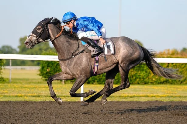 Filly on the up to star at Kempton Park - Jason Heavey's Tuesday tips
