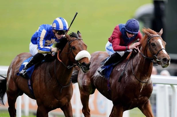 'He is one of the toughest horses in training ' – Bank Holiday Monday racing tips