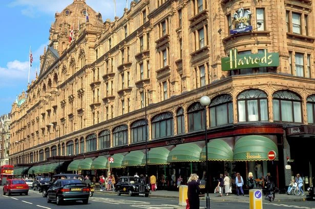Cat-sitting job that pays £65 an hour involves Harrods trips and classical music