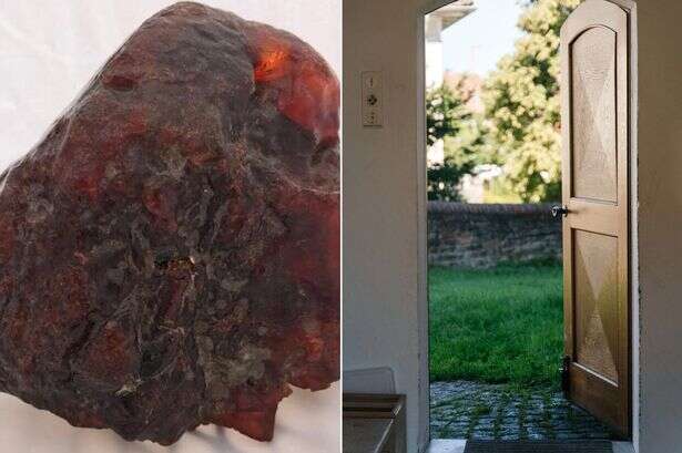 World's most expensive doorstop is actually an ancient rock with huge price tag