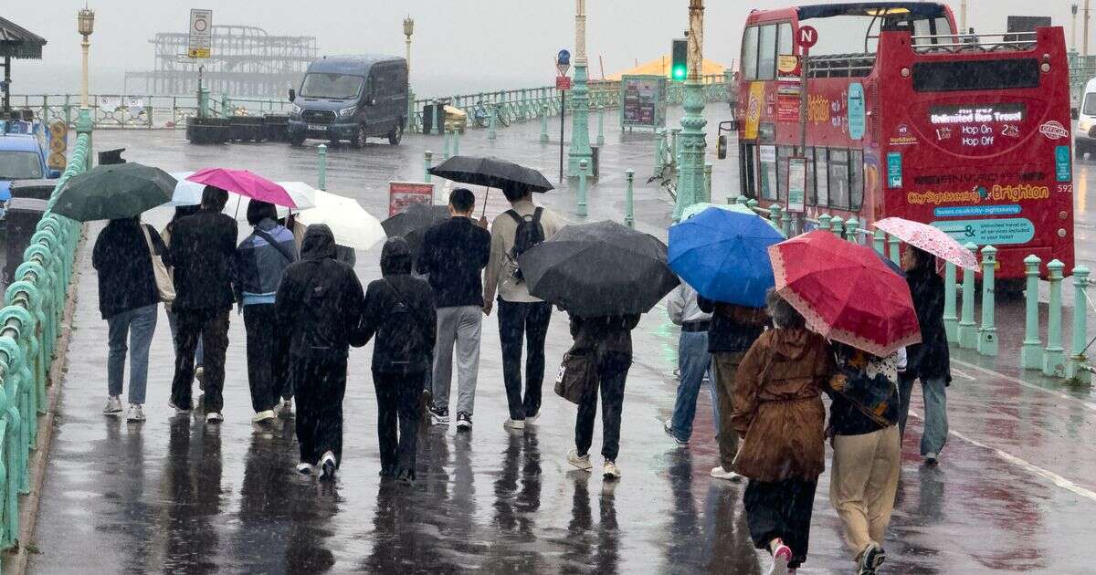 Met Office issues grim weekend flood warning as 'heavy and thundery rain' to hit millionsWeather