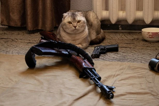 Inside the world's wildest spy pets from CIA cat agents to MI5 gerbil spooks