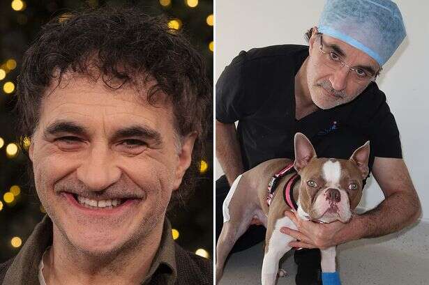 Supervet Noel Fitzpatrick reckons we will be able to 'speak' to pets by 2045