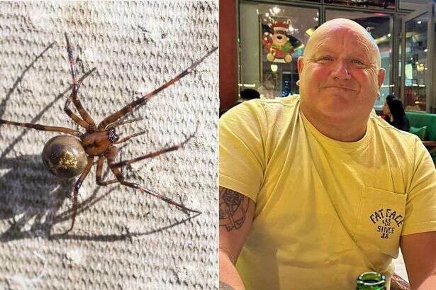 Brit bloke catches flesh-eating disease from tiny spider bite before jetting off on hols