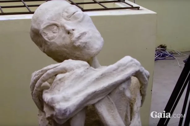 One of the 'alien' mummies from Peru was pregnant and 'scans can see the foetus'