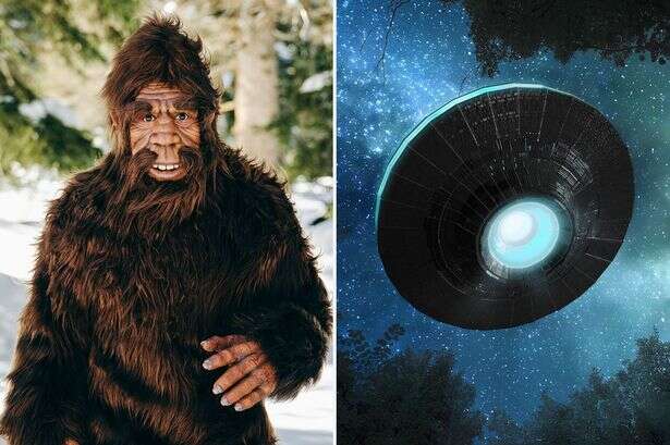 Bigfoot is 'inter-dimensional shape shifter' from another world, expert claims