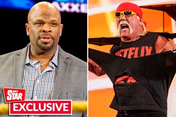 Hulk Hogan is a 'racist and a liar – fans are still raging at him', claims WWE legend