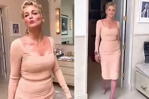 Sharon Stone, 63, flashes cleavage in skintight nude frock ahead of TV stint