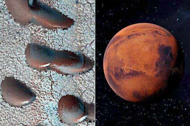 NASA snaps 'giant kidney beans' on Mars in hunt for signs of life on Red Planet