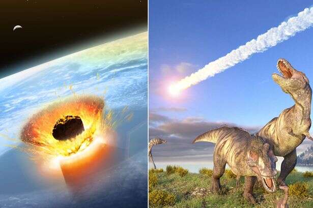 Meteorite 200x bigger than the one that wiped out dinosaurs 'did Earth a massive favour'