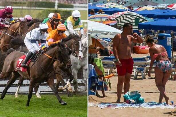 Cheltenham Festival fans offered chance to catch the action 1,300 miles away in Benidorm