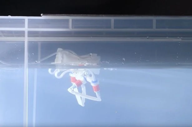 AI psycho robot with no brain 'thinks' with its legs and is faster than a Ferrari